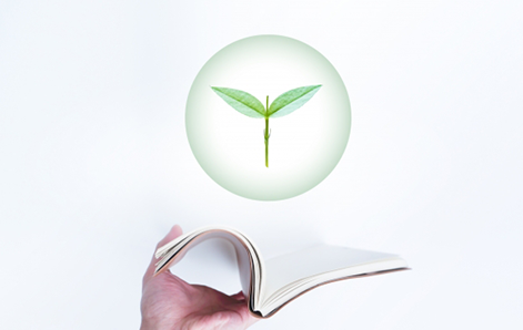 新卒向け募集要項